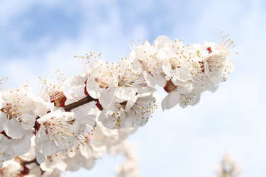 Similar image 141191