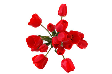 Similar image 141194