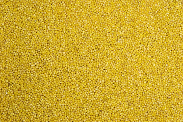 Similar image 141197