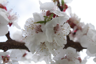 Similar image 141198