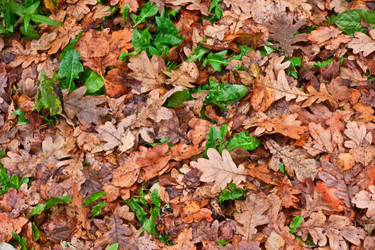 Similar image 141203