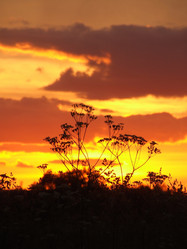 Similar image 141210