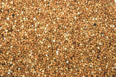 Similar image 141211