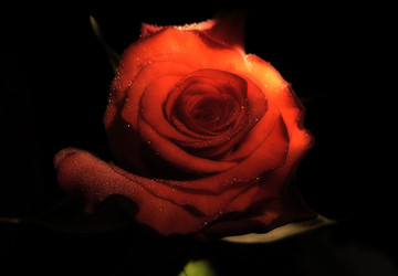 Similar image 141230