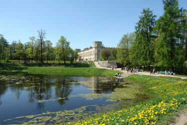 Similar image 141258