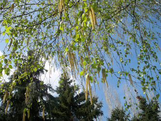 Similar image 141263