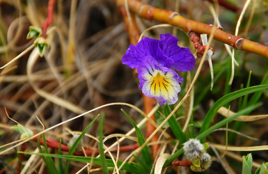 Similar image 141271