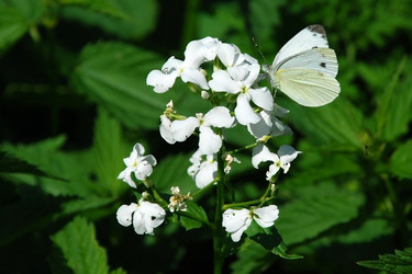 Similar image 141274