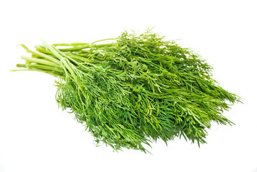 Similar image 141275