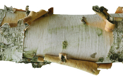 Similar image 141285