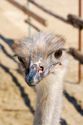 Similar image 141288