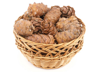 Similar image 141292