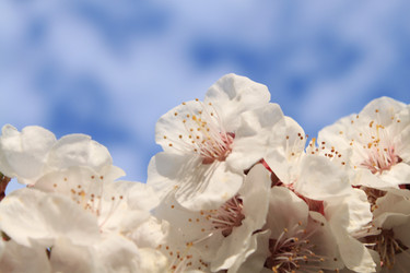 Similar image 141295