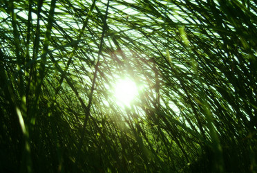 Similar image 141297