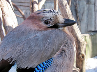 Similar image 141306