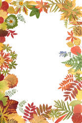 Similar image 141310