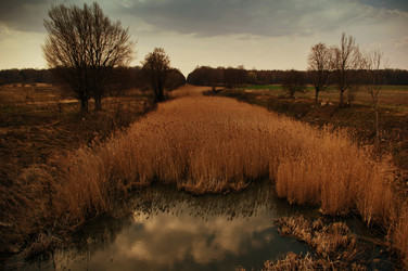 Similar image 141315