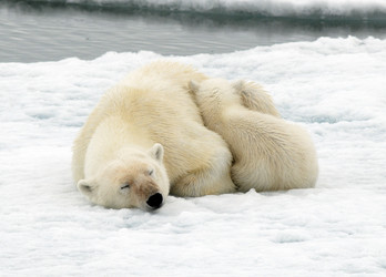 Similar image 141320