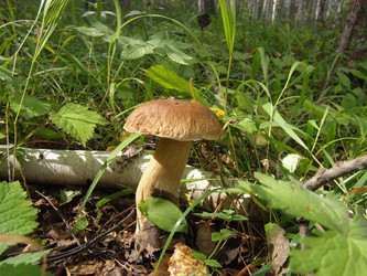 Similar image 141326