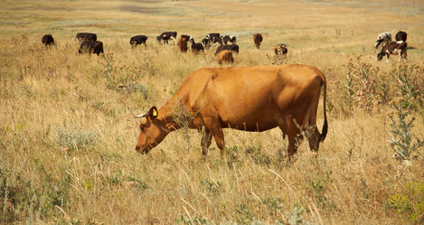 Similar image 141333