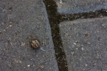 Similar image 141343