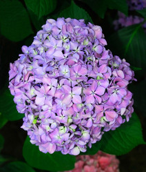 Similar image 141353