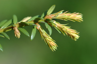 Similar image 141355