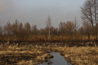 Similar image 141383