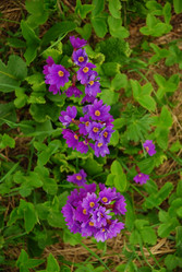 Similar image 141384