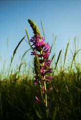 Similar image 141387