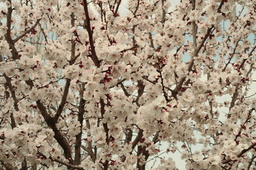 Similar image 141390