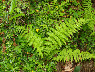 Similar image 141406