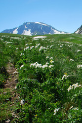 Similar image 141410