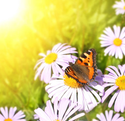 Similar image 141411