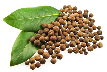 Similar image 141425