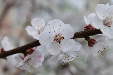 Similar image 141428