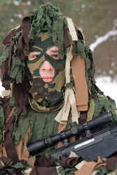 Similar image 141429