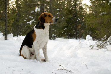 Similar image 141430