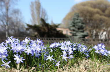 Similar image 141440