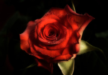 Similar image 141444