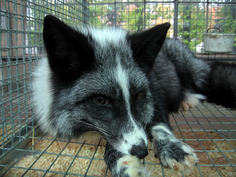 Similar image 141455