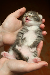 Similar image 141468