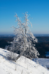 Similar image 141491