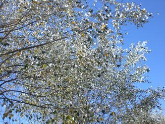 Similar image 141505