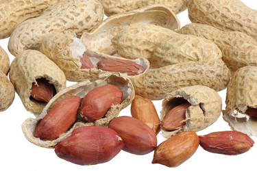 Similar image 141519