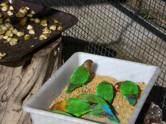 Similar image 141530