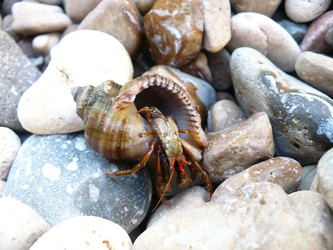 Similar image 141545