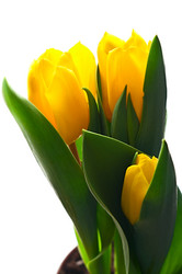 Similar image 141552