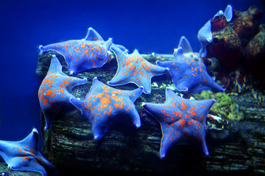 Similar image 141562