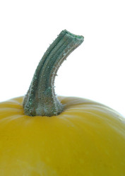 Similar image 141601